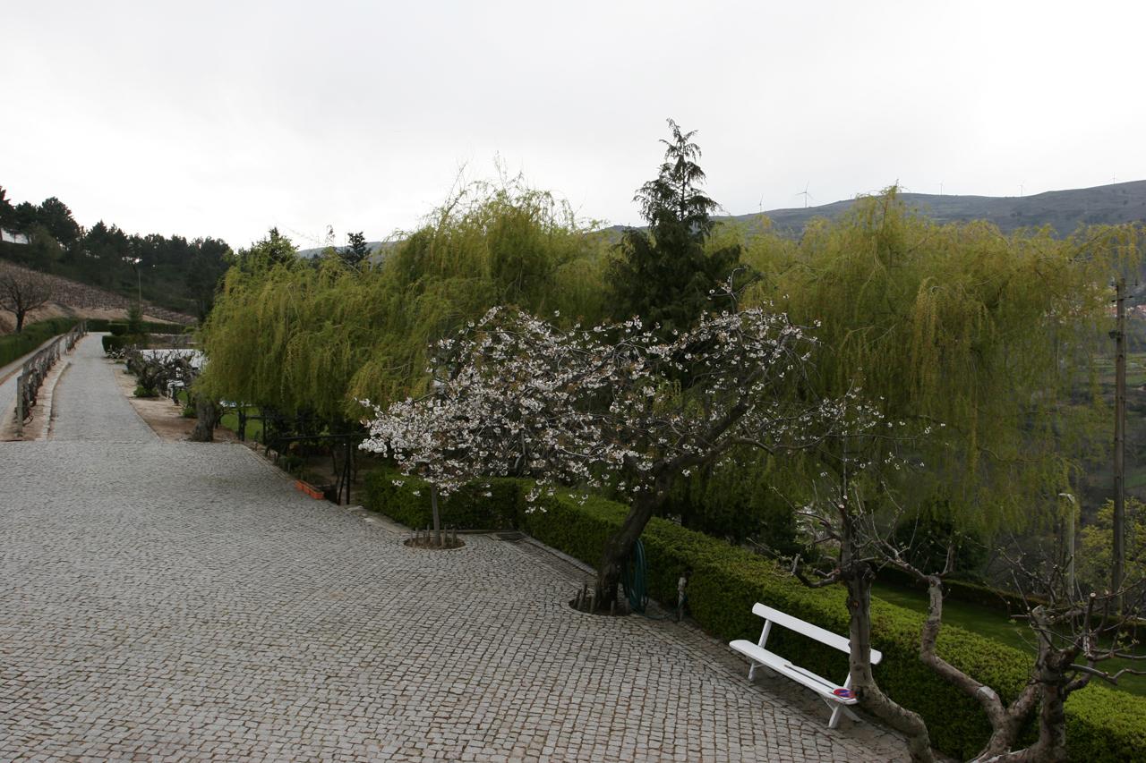 Quinta Da Timpeira Hotel Lamego Kültér fotó